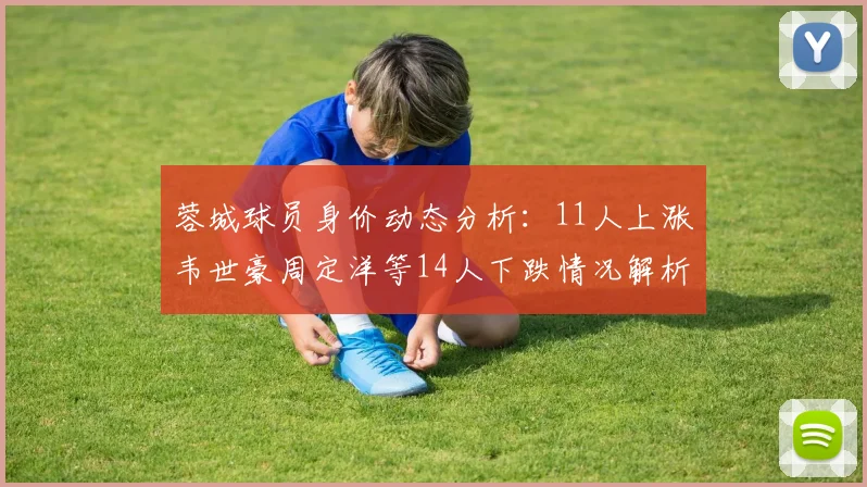 蓉城球员身价动态分析：11人上涨韦世豪周定洋等14人下跌情况解析