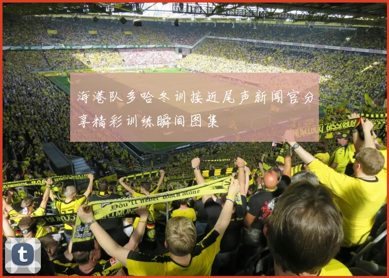 海港队多哈冬训接近尾声新闻官分享精彩训练瞬间图集