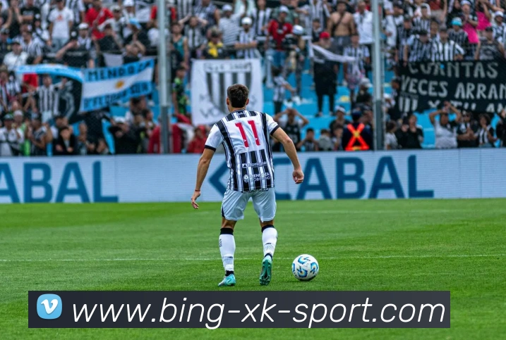 星空体育平台生态图