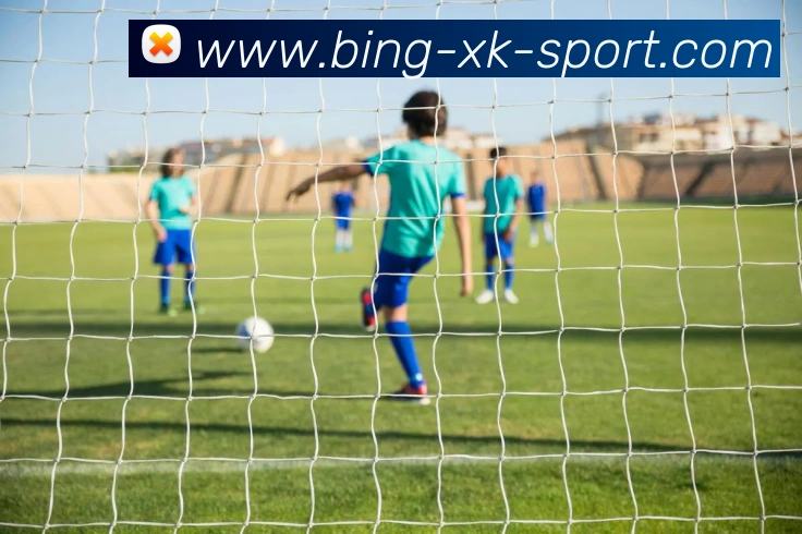 星空体育APP 封面图